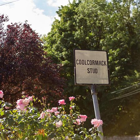 Coolcormack Stud B&B Дангарван Экстерьер фото